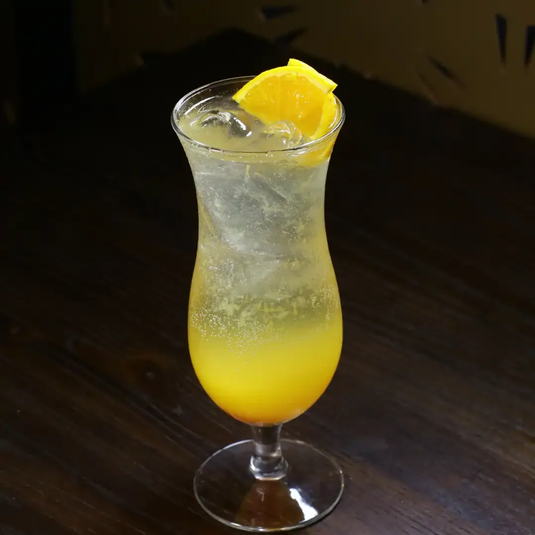 Fresh Orange Mojito